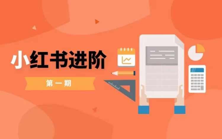 小红书进阶篇，零基础小白实战课，普通人变现的课程-财富区
