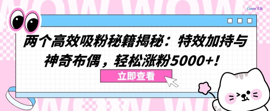 两个高效吸粉秘籍揭秘：特效加持与神奇布偶，轻松涨粉5000+-财富区