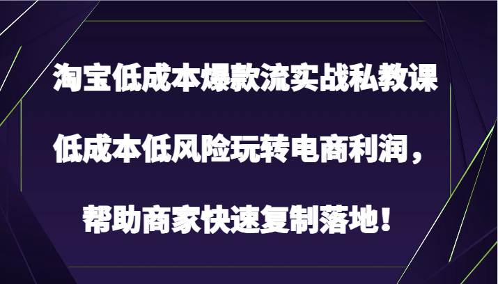 淘宝低成本爆款流实战私教课，低成本低风险玩转电商利润，帮助商家快速复制落地！-财富区