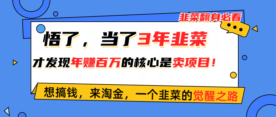 （10759期）悟了，当了3年韭菜，才发现网赚圈年赚100万的核心是卖项目，含泪分享！-财富区