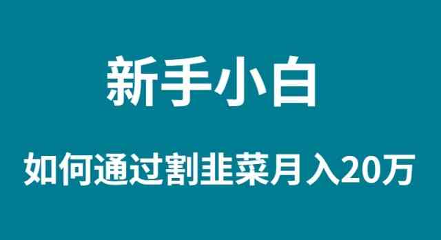 （9308期）新手小白如何通过割韭菜月入 20W-财富区