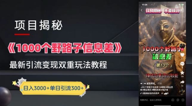 一千个野路子信息差最新玩法教程-变现+引流的玩法具体拆解-财富区