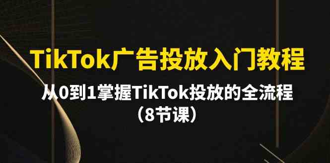 （10085期）TikTok广告投放入门教程，从0到1掌握TikTok投放的全流程（8节课）-财富区