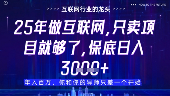 什么！25年你还在找项目做？风口早就变了，卖项目才是稳挣不赔【揭秘】-财富区