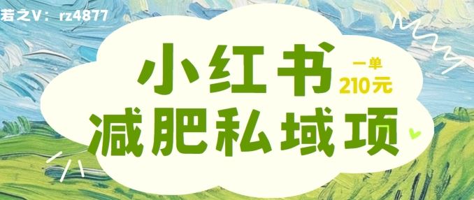小红书减肥粉，私域变现项目，一单就达210元，小白也能轻松上手【揭秘】-财富区