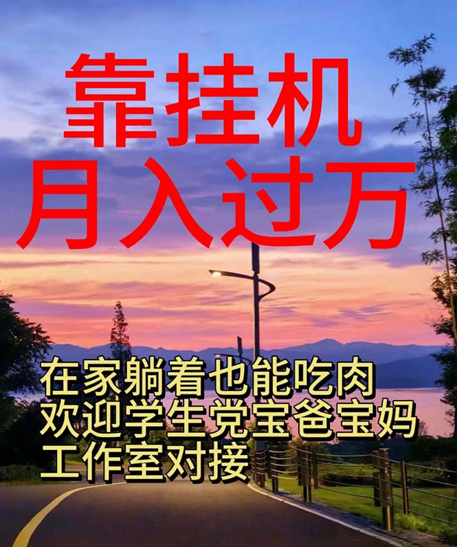 （10838期）靠挂机，日入1000+，躺着也能吃肉，适合宝爸宝妈学生党工作室，电脑手…-财富区