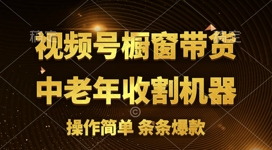 （11009期）[你的孩子成功取得高位]视频号最火爆赛道，橱窗带货，流量分成计划，条…-财富区