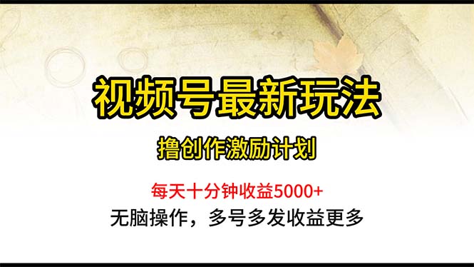 （10591期）视频号最新玩法，每日一小时月入5000+-财富区