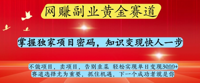 网创副业黄全赛道，掌握独家项目密码，知识变现快人一步，告别韭菜轻松实现单日变现1k+【揭秘】-财富区