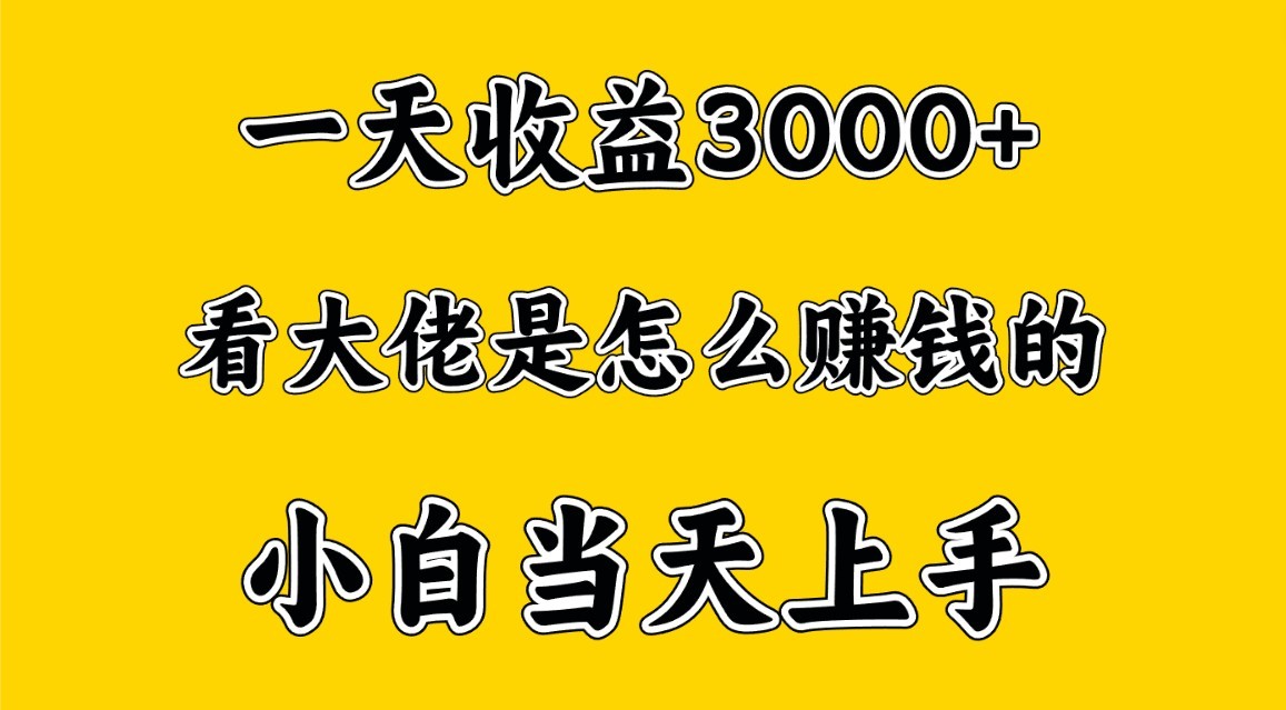 一天赚3000多，大佬是这样赚到钱的，小白当天上手，穷人翻身项目-财富区