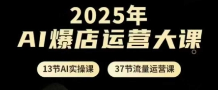 2025年AI爆店运营大课，13节AI实操课+37节流量运营课-财富区