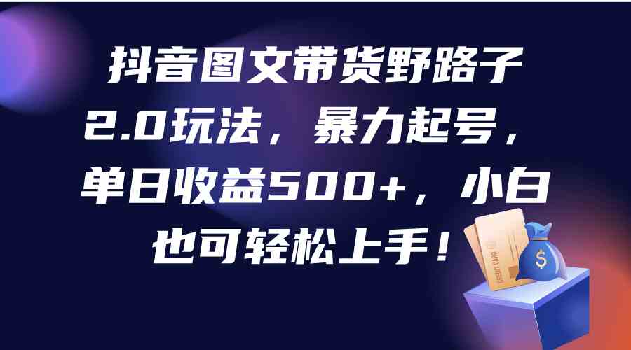 （9790期）抖音图文带货野路子2.0玩法，暴力起号，单日收益500+，小白也可轻松上手！-财富区