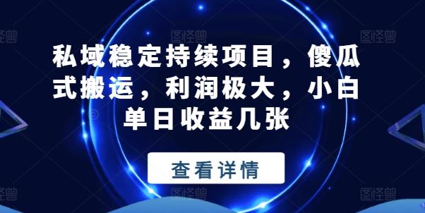 私域稳定持续项目，傻瓜式搬运，利润极大，小白单日收益几张【揭秘】-财富区