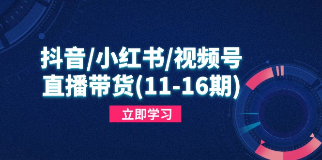抖音/小红书/视频号/直播带货(11-16期-财富区
