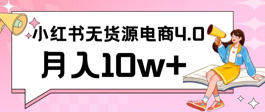 小红书新电商实战，无货源实操从0到1月入10w+联合抖音放大收益-财富区