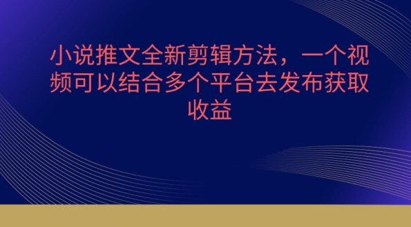 小说推文全新剪辑方法，一个视频可以结合多个平台去发布获取-财富区