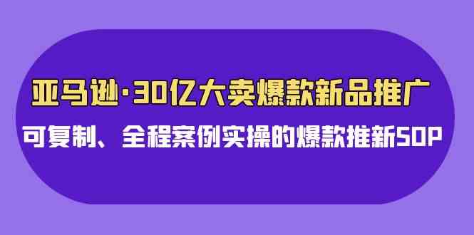（9944期）亚马逊30亿·大卖爆款新品推广，可复制、全程案例实操的爆款推新SOP-财富区