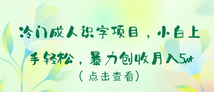 冷门成人识字项目，小白上手轻松，暴力创收月入5w+-财富区