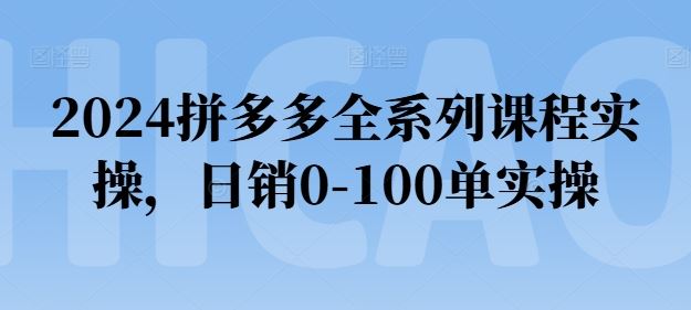 2024拼多多全系列课程实操，日销0-100单实操【必看】-财富区