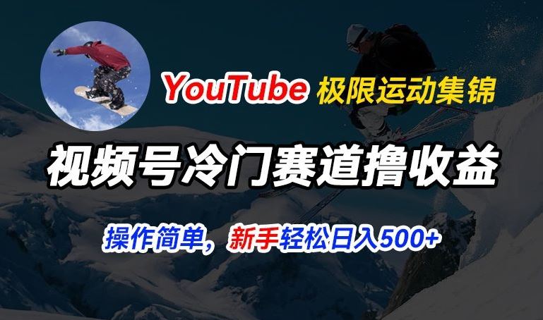 视频号冷门赛道撸收益，YouTube搬运极限运动集锦，暴力起号，操作简单流量高，轻松日入5张【揭秘】-财富区
