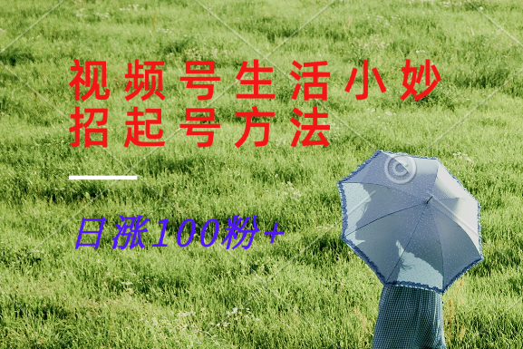 视频号生活小妙招分享赛道， 起号涨粉新方法，日涨100粉-财富区