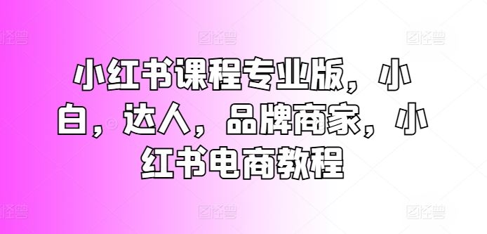 小红书课程专业版，小白，达人，品牌商家，小红书电商教程-财富区
