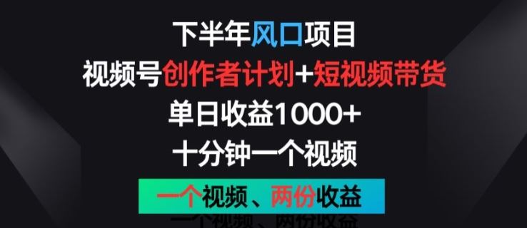 下半年风口项目，视频号创作者计划+视频带货，一个视频两份收益，十分钟一个视频【揭秘】-财富区
