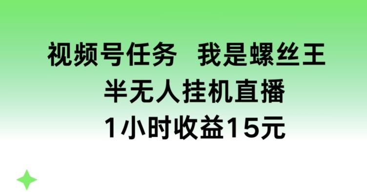 视频号任务，我是螺丝王， 半无人挂机1小时收益15元【揭秘】-财富区