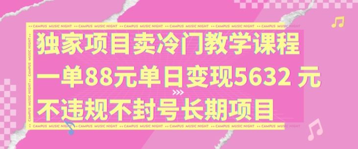 独家项目卖冷门教学课程一单88元单日变现5632元违规不封号长期项目【揭秘】-财富区