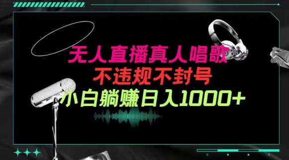 抖音24小时无人直播音乐，不违规，不封号纯撸音浪，小白实操当天日入1000+-财富区