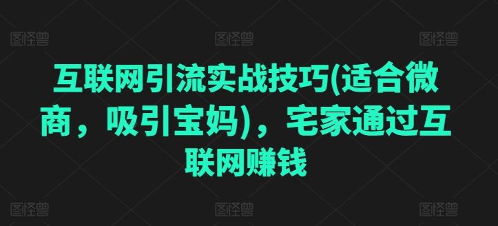 互联网引流实战技巧(适合微商，吸引宝妈)，宅家通过互联网赚钱-财富区