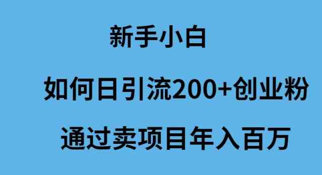 （9668期）新手小白如何日引流200+创业粉通过卖项目年入百万-财富区