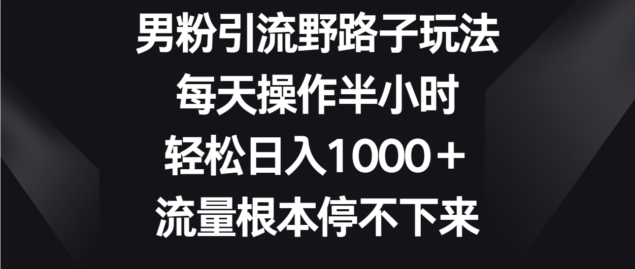 男粉引流野路子玩法，每天操作半小时轻松日入1000＋，流量根本停不下来-财富区