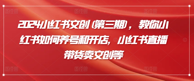 2024小红书文创(第三期)，教你小红书如何养号和开店，小红书直播带货卖文创等-财富区