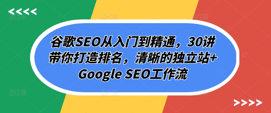 谷歌SEO从入门到精通，30讲带你打造排名，清晰的独立站+Google SEO工作流-财富区