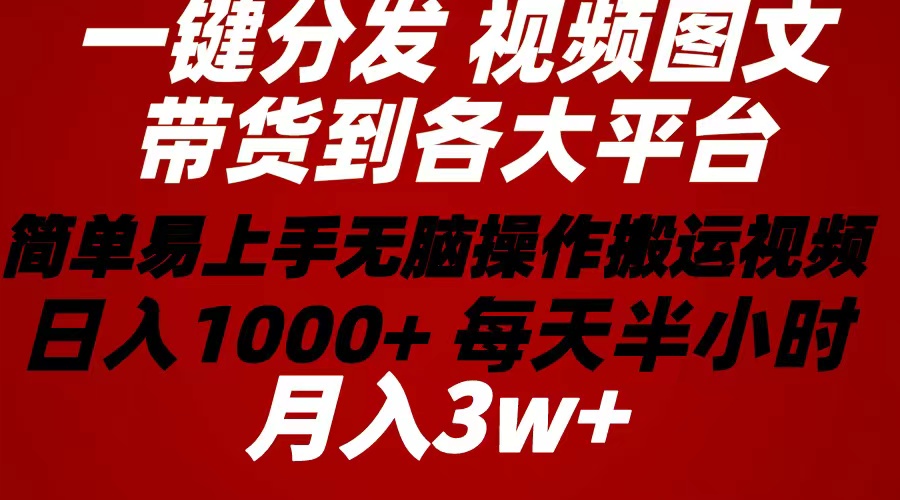 （10667期）2024年 一键分发带货图文视频 简单易上手 无脑赚收益 每天半小时日入1…-财富区