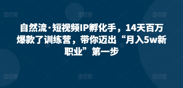 自然流·短视频IP孵化手，14天百万爆款了训练营，带你迈出“月入5w新职业”第一步-财富区
