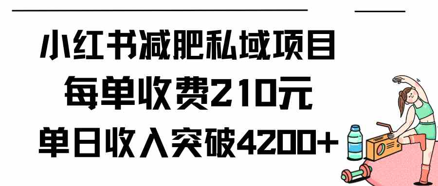 （9466期）小红书减肥私域项目每单收费210元单日成交20单，最高日入4200+-财富区