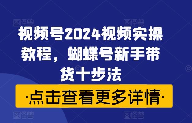 视频号2024视频实操教程，蝴蝶号新手带货十步法-财富区