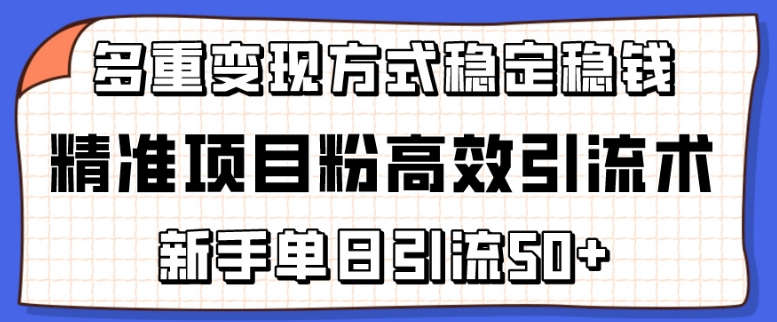 精准项目粉高效引流术，新手单日引流50+，多重变现方式稳定赚钱-财富区