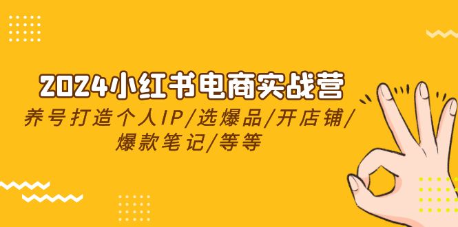 2024小红书电商实战营，养号打造IP/选爆品/开店铺/爆款笔记/等等（24节）-财富区