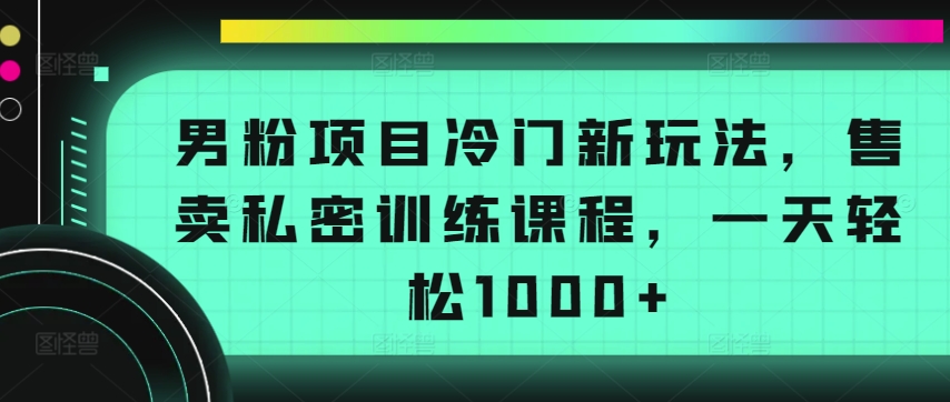 男粉项目冷门新玩法，售卖私密训练课程，一天轻松1000+-财富区