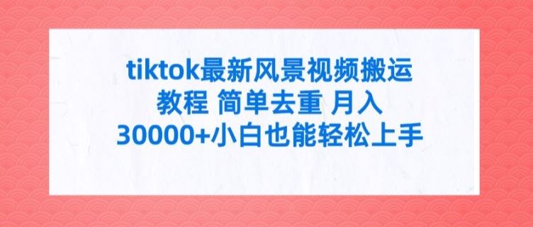 tiktok最新风景视频搬运教程 简单去重 月入3W+小白也能轻松上手【揭秘】-财富区