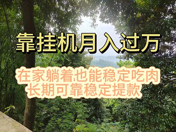 （11144期）挂机掘金，日入1000+，躺着也能吃肉，适合宝爸宝妈学生党工作室，电脑…-财富区