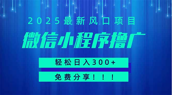 微信小程序撸广，最新风口项目，日入300+ 免费分享 可批量操作 小白可…-财富区