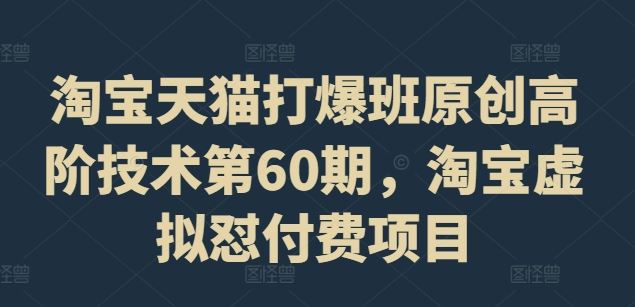 淘宝天猫打爆班原创高阶技术第60期，淘宝虚拟怼付费项目-财富区