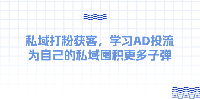 （10728期）某收费课：私域打粉获客，学习AD投流，为自己的私域囤积更多子弹-财富区