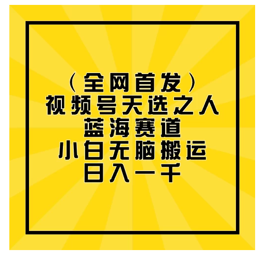 全网首发，视频号天选之人蓝海赛道，小白无脑搬运日入一千-财富区