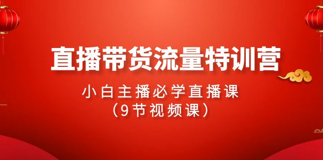 2024直播带货流量特训营，小白主播必学直播课（9节视频课）-财富区
