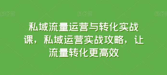 私域流量运营与转化实战课，私域运营实战攻略，让流量转化更高效-财富区